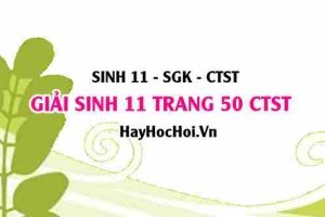 Giải Sinh 11 trang 50 Chân trời sáng tạo SGK